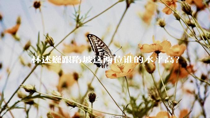 林述巍跟隋坡这两位谁的水平高？