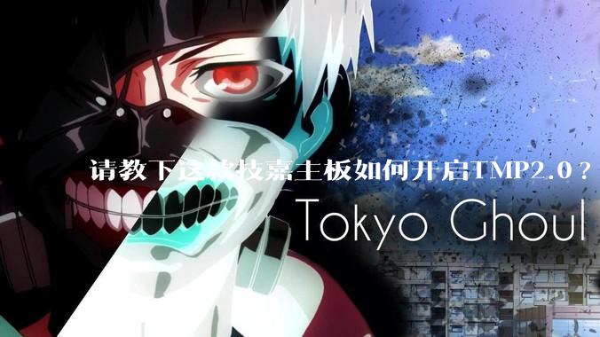 请教下这款技嘉主板如何开启TMP2.0?