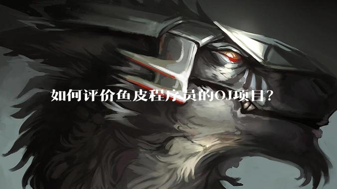 如何评价鱼皮程序员的OJ项目？